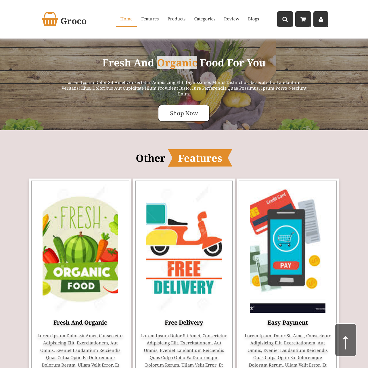 education website